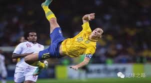 的社会现实 的社会现实