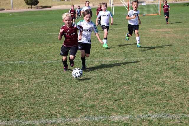 移民金卡 移民金卡