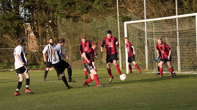 马龙和陈梦 马龙和陈梦