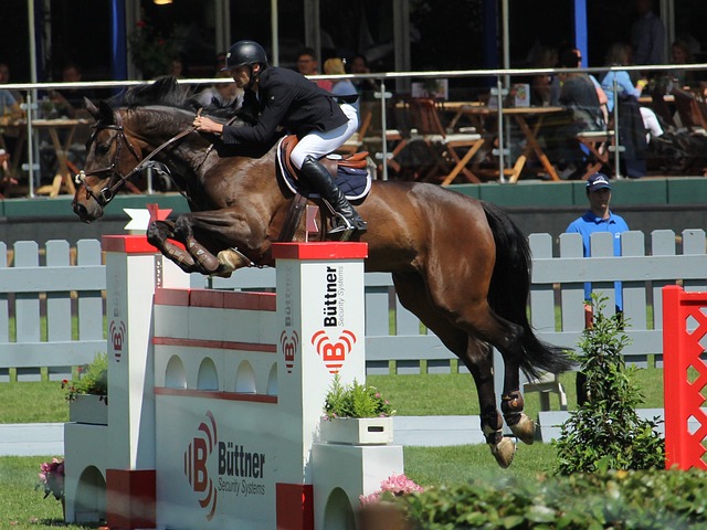 魅力揭秘 魅力揭秘