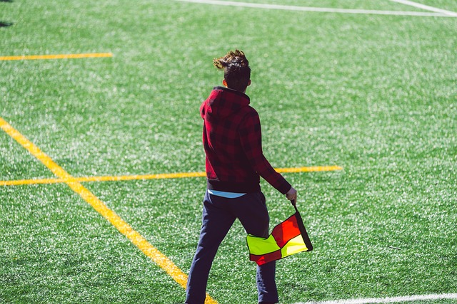 正以惊人的 正以惊人的