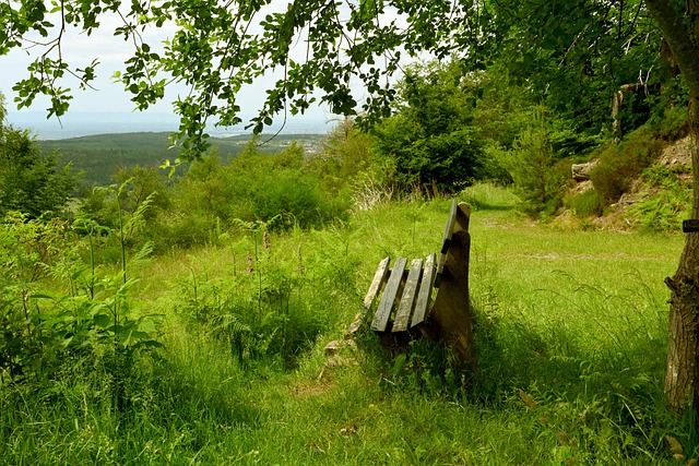 家提供了宝 家提供了宝